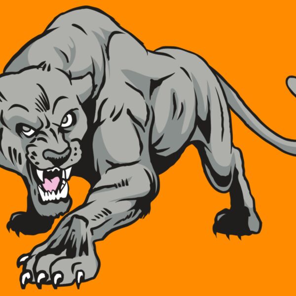 AR31 COUGAR 01 RQC Thumbnail