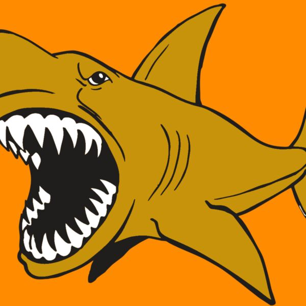 AR  SHARK 21 RC Thumbnail