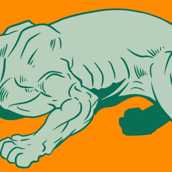 AR10 PANTHER 05 RQC Thumbnail