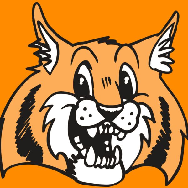 AR WILDCAT 13 RC Thumbnail