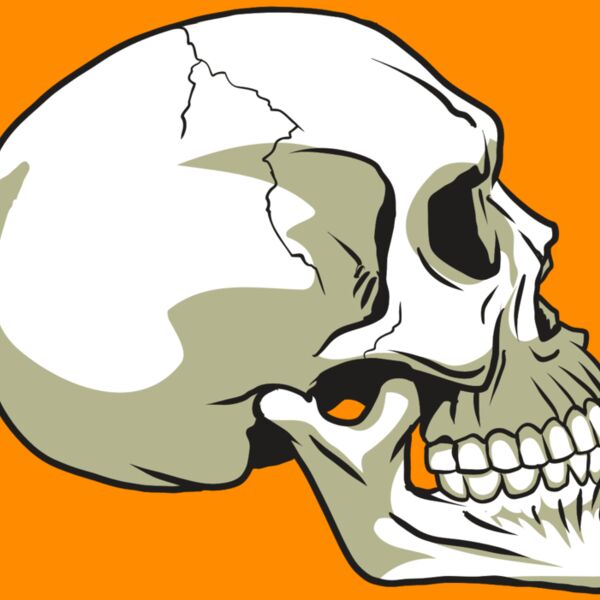 AR24 SKULL 12 RQC Thumbnail