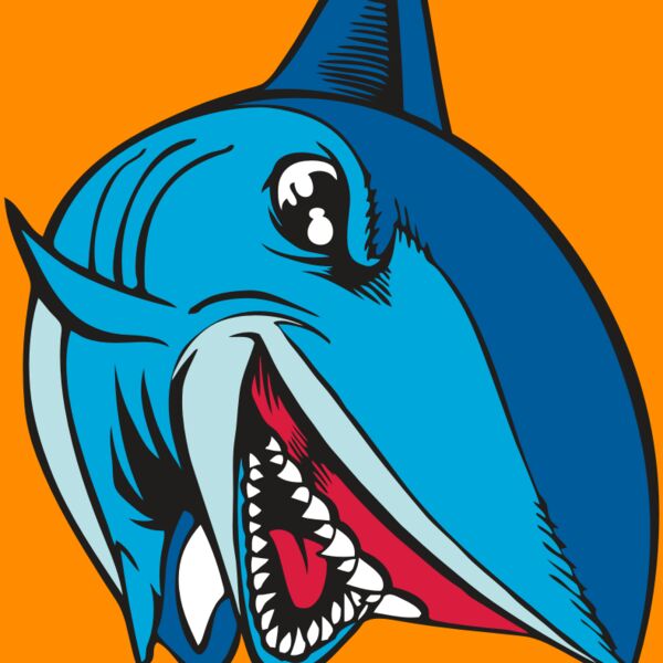 BAW SHARK 02 RC Thumbnail