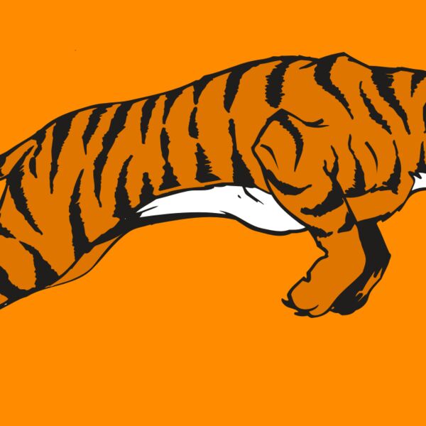 AR TIGER 79 RC Thumbnail