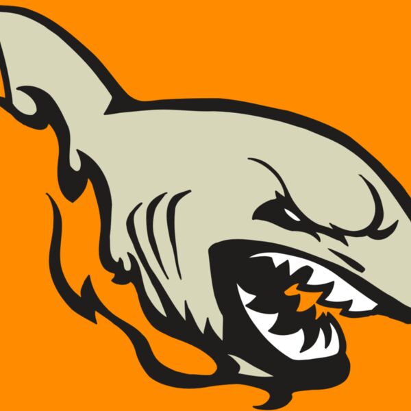 AR5 Shark 08 RQC Thumbnail