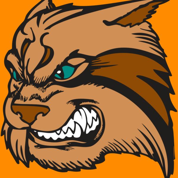 BAW WILDCAT 05 RC Thumbnail