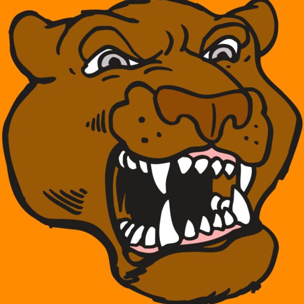 AR5 COUGAR 29 RQC Thumbnail