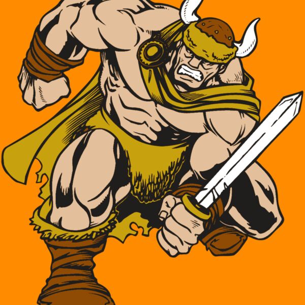 AR VIKING 35 RC Thumbnail