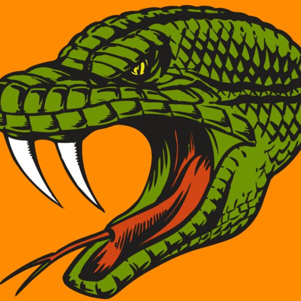 BAW SNAKE 14 RC Thumbnail