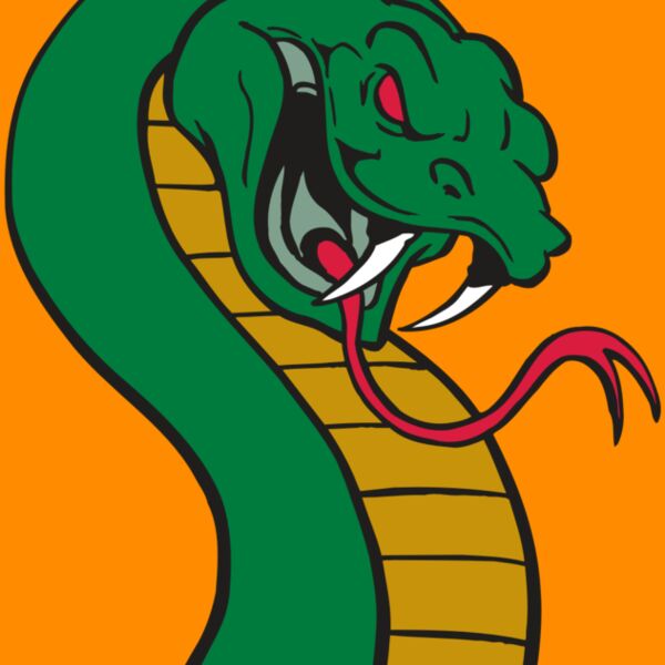 AR SNAKE 12 RC Thumbnail