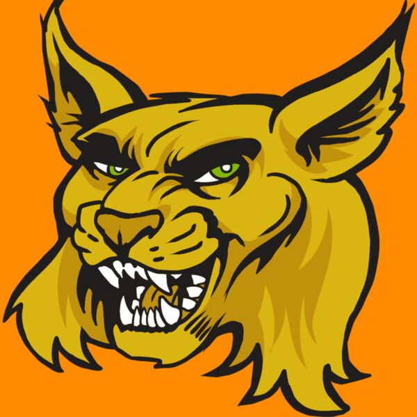 AR30 WILDCAT 03 RQC Thumbnail