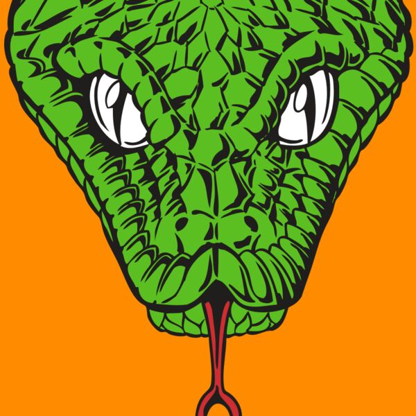 BAW SNAKE 08 RC Thumbnail