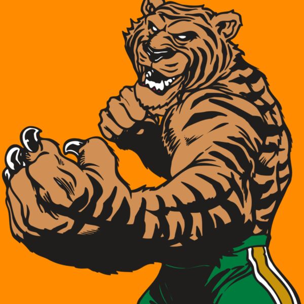 AR TIGER 64 RC Thumbnail