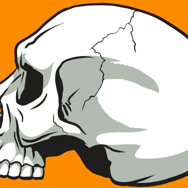 AR24 SKULL 11 RQC Thumbnail