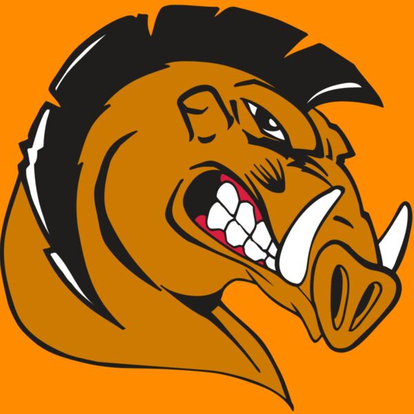 AR RAZORBACK 19 RC Thumbnail