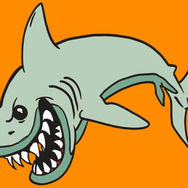 AR  SHARK 18 RC Thumbnail