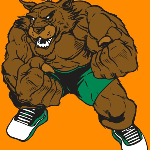 AR WILDCAT 45 RC Thumbnail