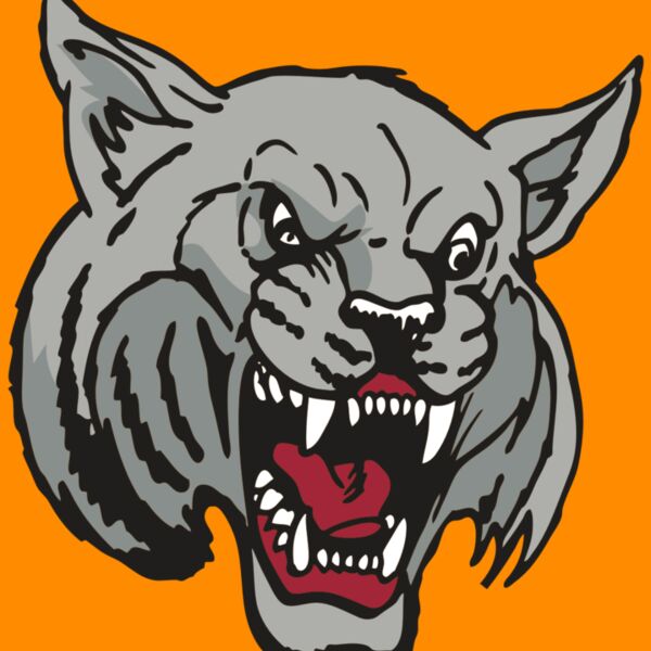 AR WILDCAT 42 RC Thumbnail