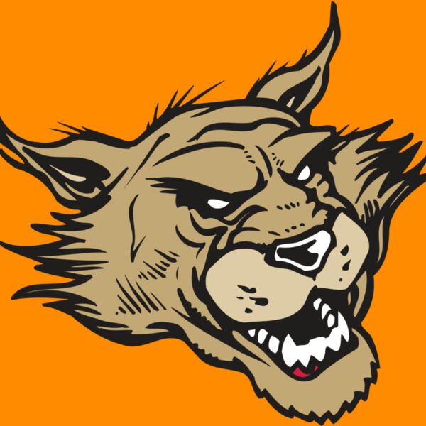 AR WILDCAT 39 RC Thumbnail