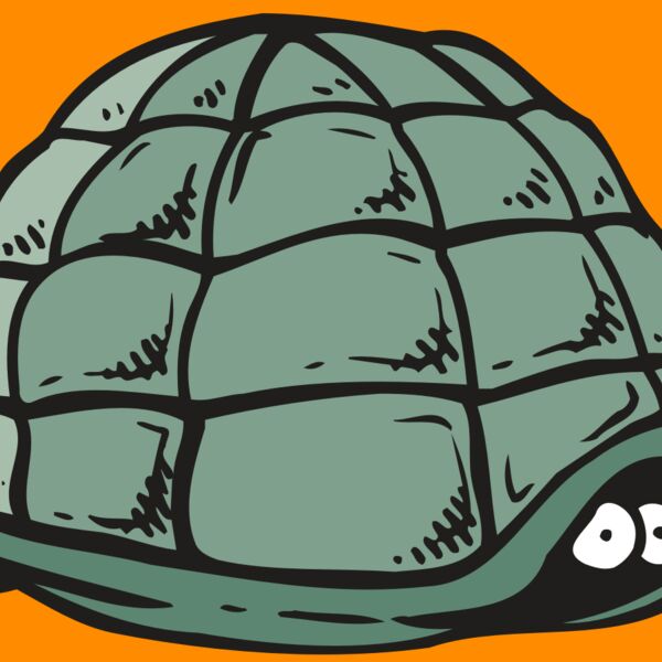 AR5 Turtle 10 RQC Thumbnail