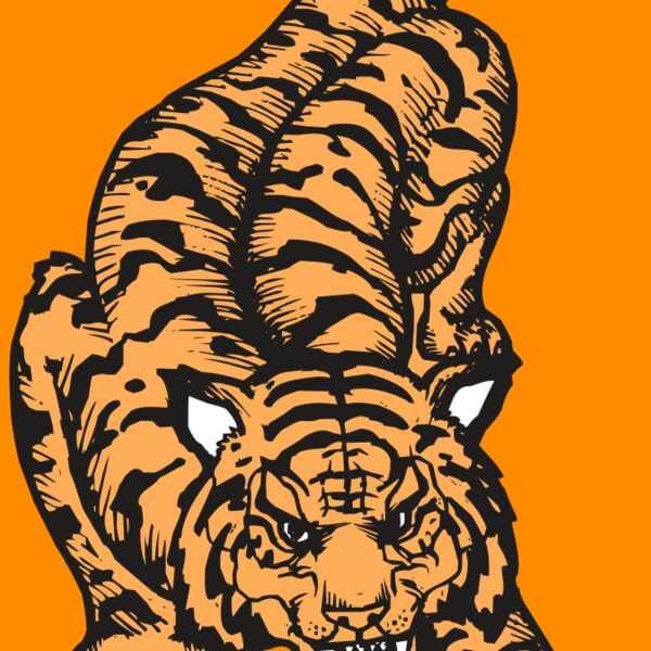 BAW TIGER 01 RC Thumbnail