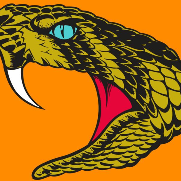 BAW SNAKE 16 RC Thumbnail