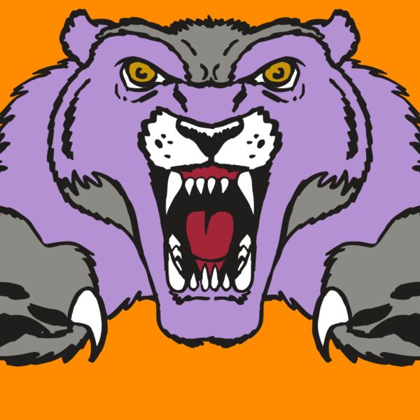 AR WOLVERINE 17 RC Thumbnail