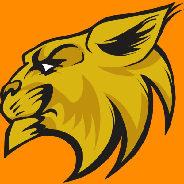 AR30 WILDCAT 02 RQC Thumbnail