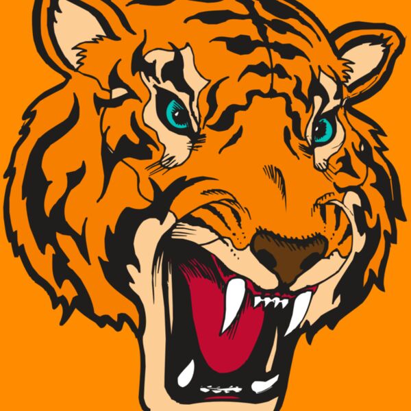BAW TIGER 12 RC Thumbnail