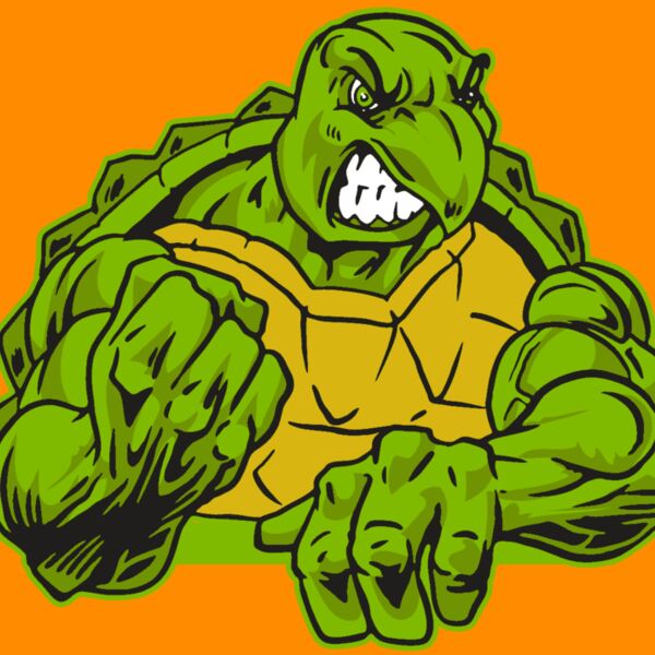 AR31 TURTLE 01 RQC Thumbnail