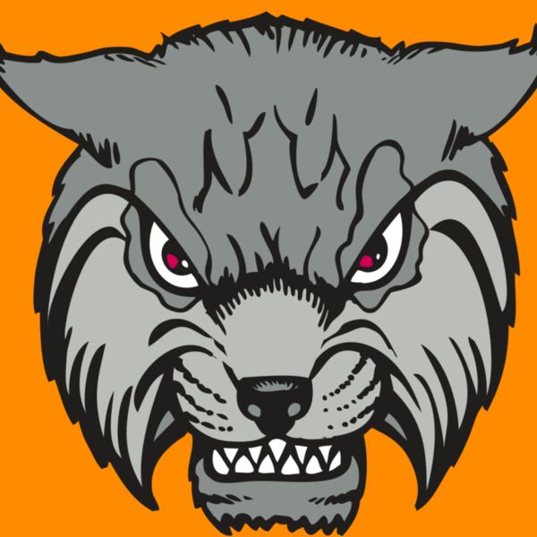 BAW BOBCAT 02 RC Thumbnail