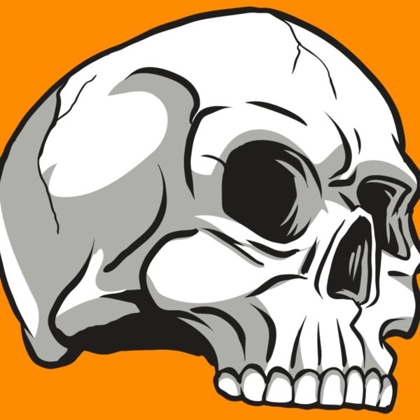 AR24 SKULL 10 RQC Thumbnail