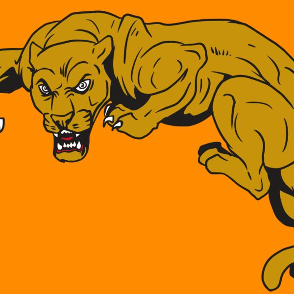 AR10 PANTHER 02 RQC Thumbnail