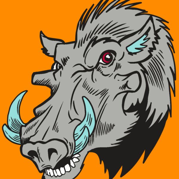 AR20 RAZORBACK 39 RQC Thumbnail