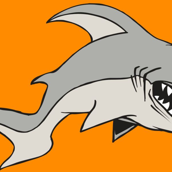 AR5 Shark 10 RQC Thumbnail