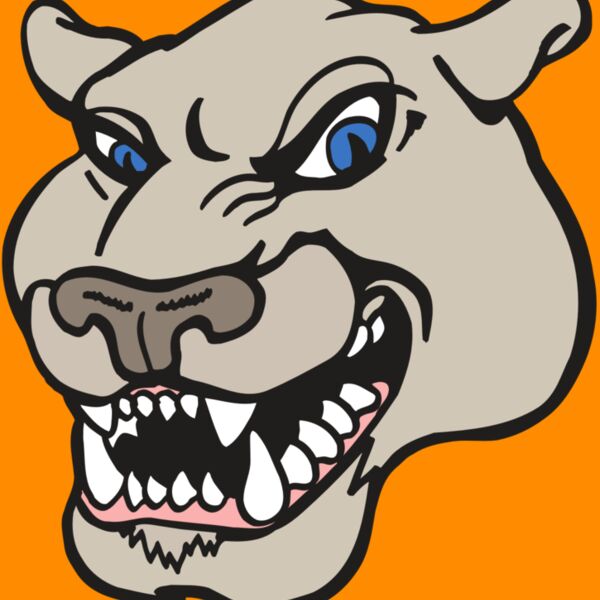 AR5 COUGAR 10 RQC Thumbnail