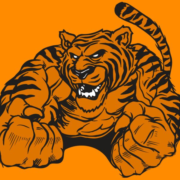 AR TIGER 55 RC Thumbnail