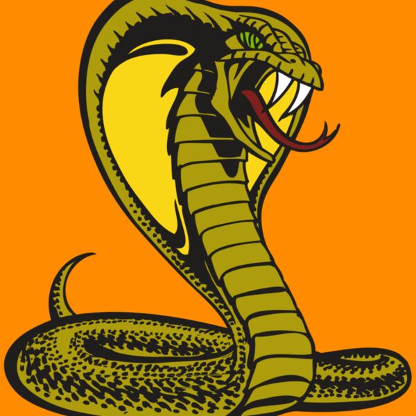 BAW SNAKE 02 RC Thumbnail