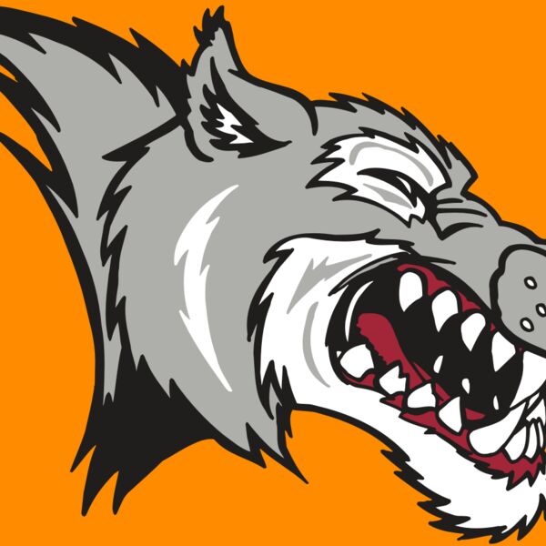 AR WOLF 15 RC Thumbnail