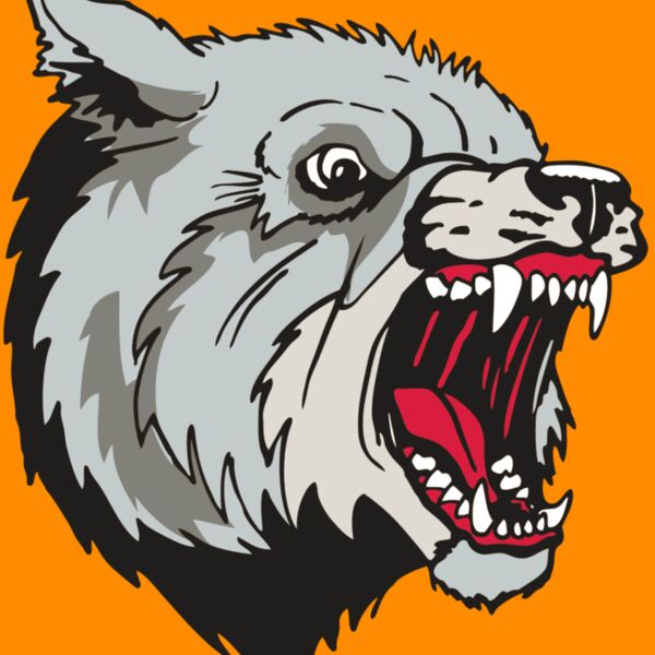 AR WOLF 38 RC Thumbnail