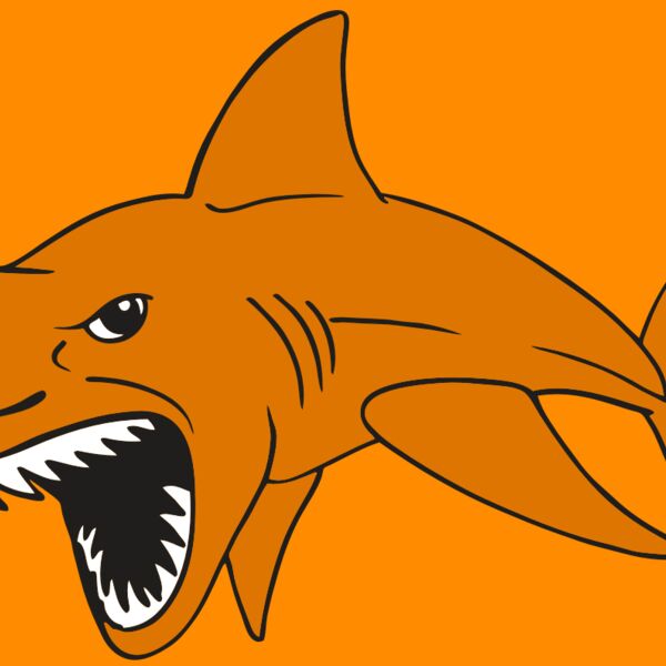 AR  SHARK 20 RC Thumbnail