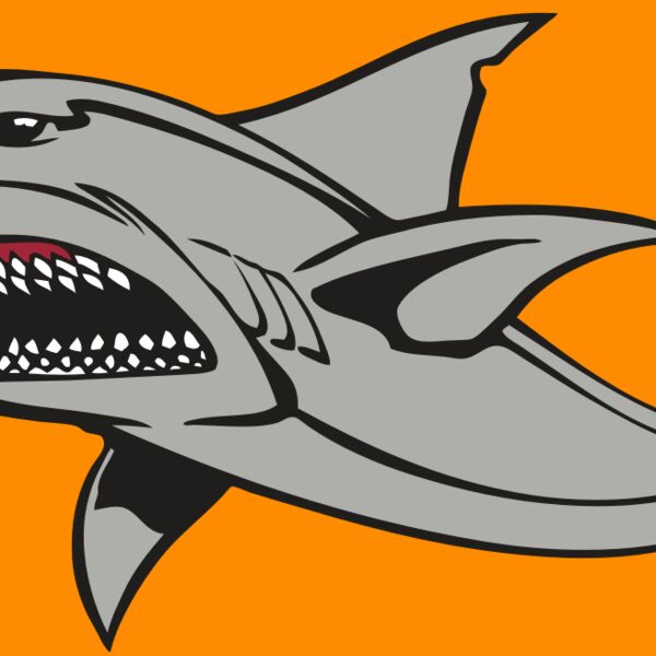 BAW SHARK 03 RC Thumbnail