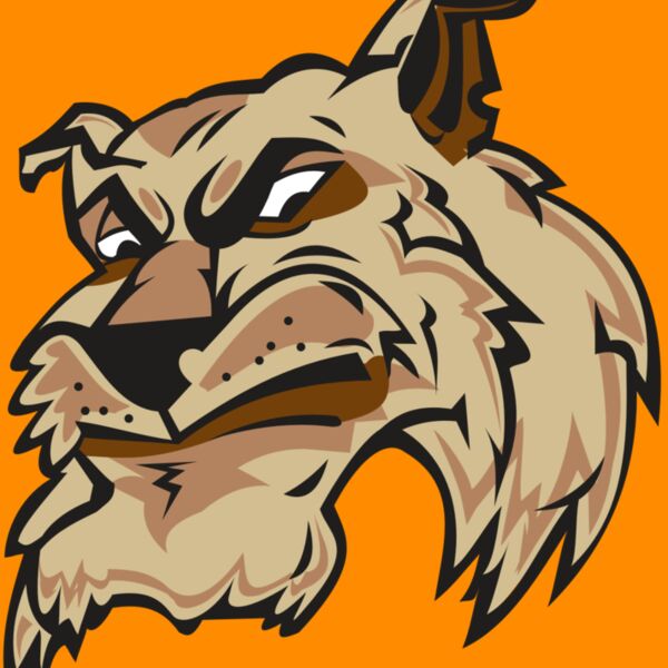 WILDCAT HD0501 RQC Thumbnail