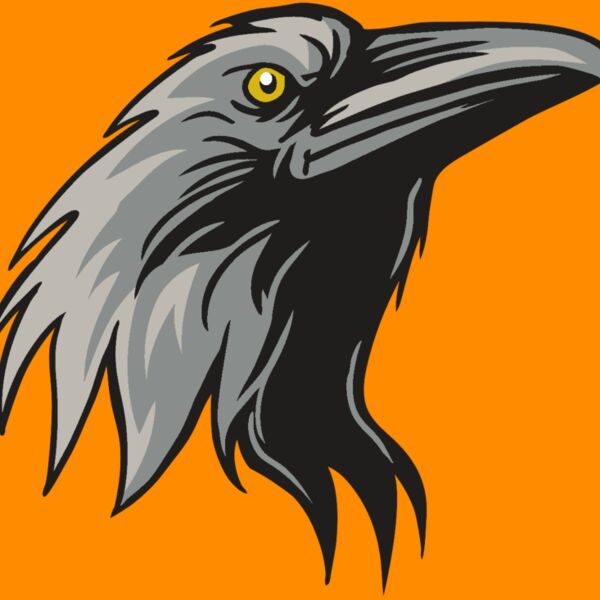 AR31 RAVEN 01 RQC Thumbnail