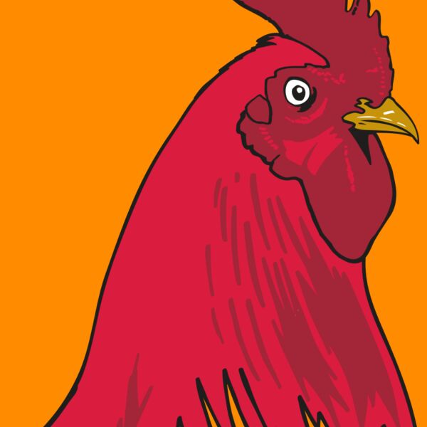 AR OTHER 19 RC Thumbnail