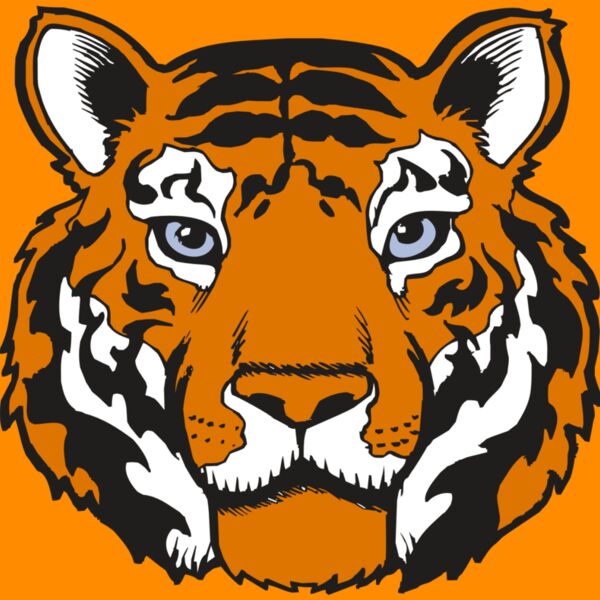 BAW TIGER 02 RC Thumbnail