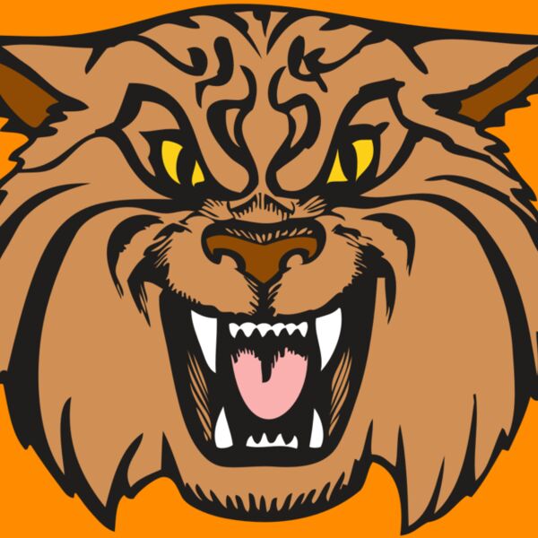 BAW WILDCAT 04 RC Thumbnail