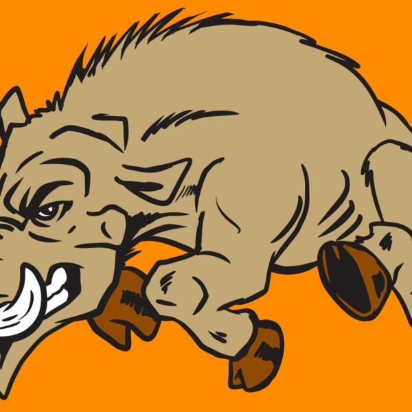 AR20 RAZORBACK 37 RQC Thumbnail