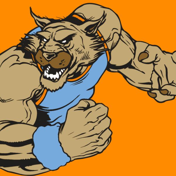 AR WILDCAT 46 RC Thumbnail