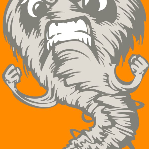 BAW STORM 07 RC Thumbnail