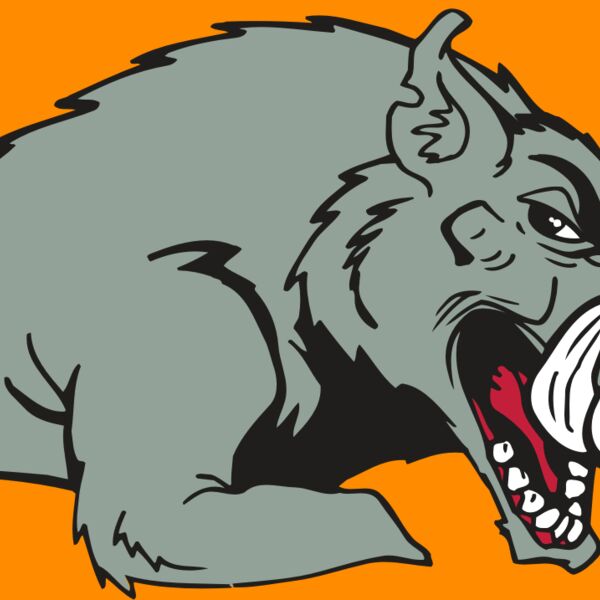 AR RAZORBACK 14 RC Thumbnail